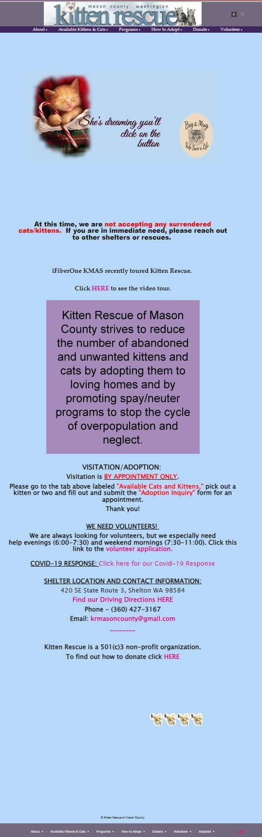 Kitten Rescue website showing information architecture issues - excessive text, poor hierarchy, and unclear calls-to-action